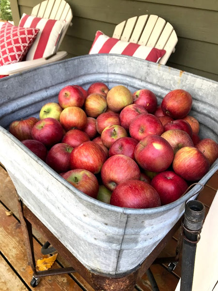 Home Grown - Apple Pie Filling