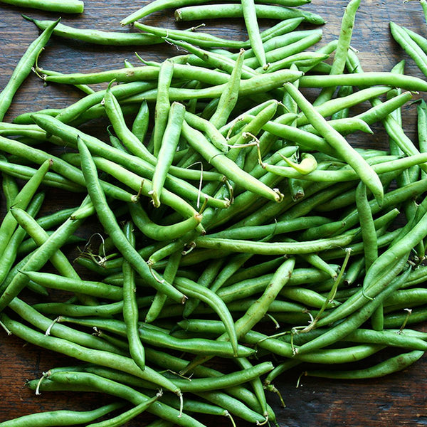 Home Grown - Dilly Beans